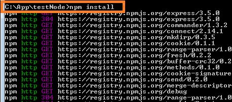 npm Install
